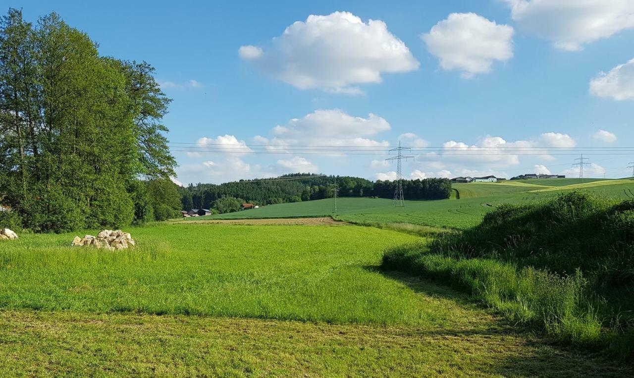 Ferienwohnung Bergmaier Bad Birnbach Bagian luar foto